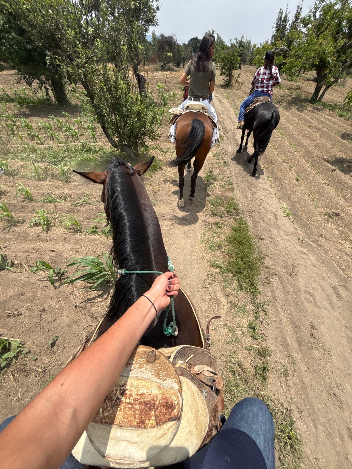 Horseback riders traverse rural dirt path in Mexican farmland