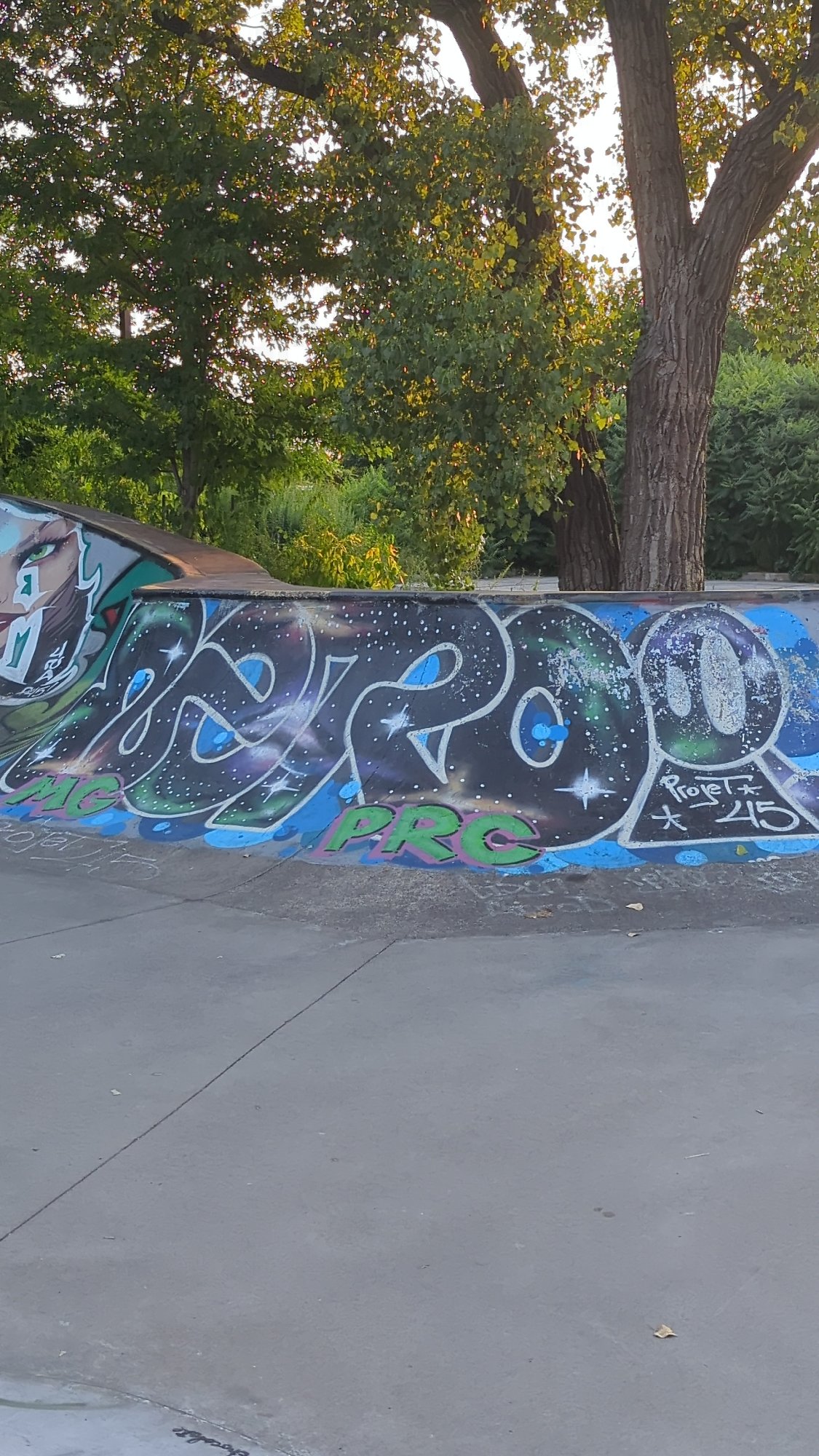 Montreal skatepark graffiti and surrounding park on a July evening
