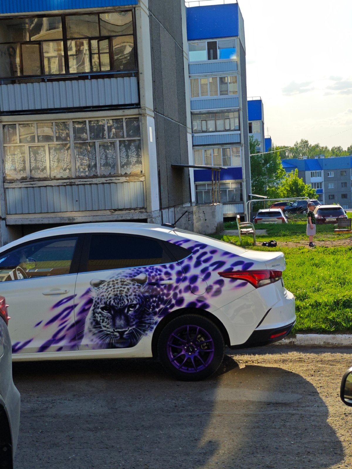 Everyday moments captured in Russian town: car, dandelion
