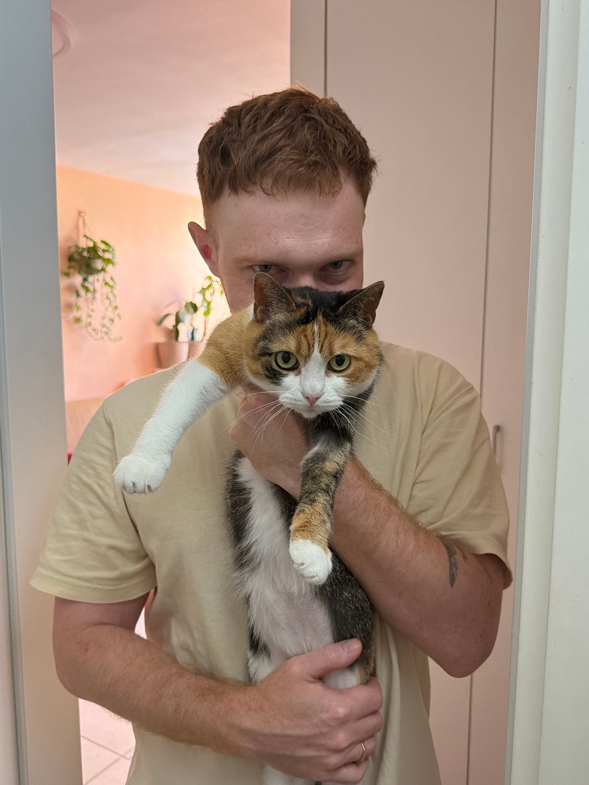 Tel Aviv resident documented during quiet morning routine with cat