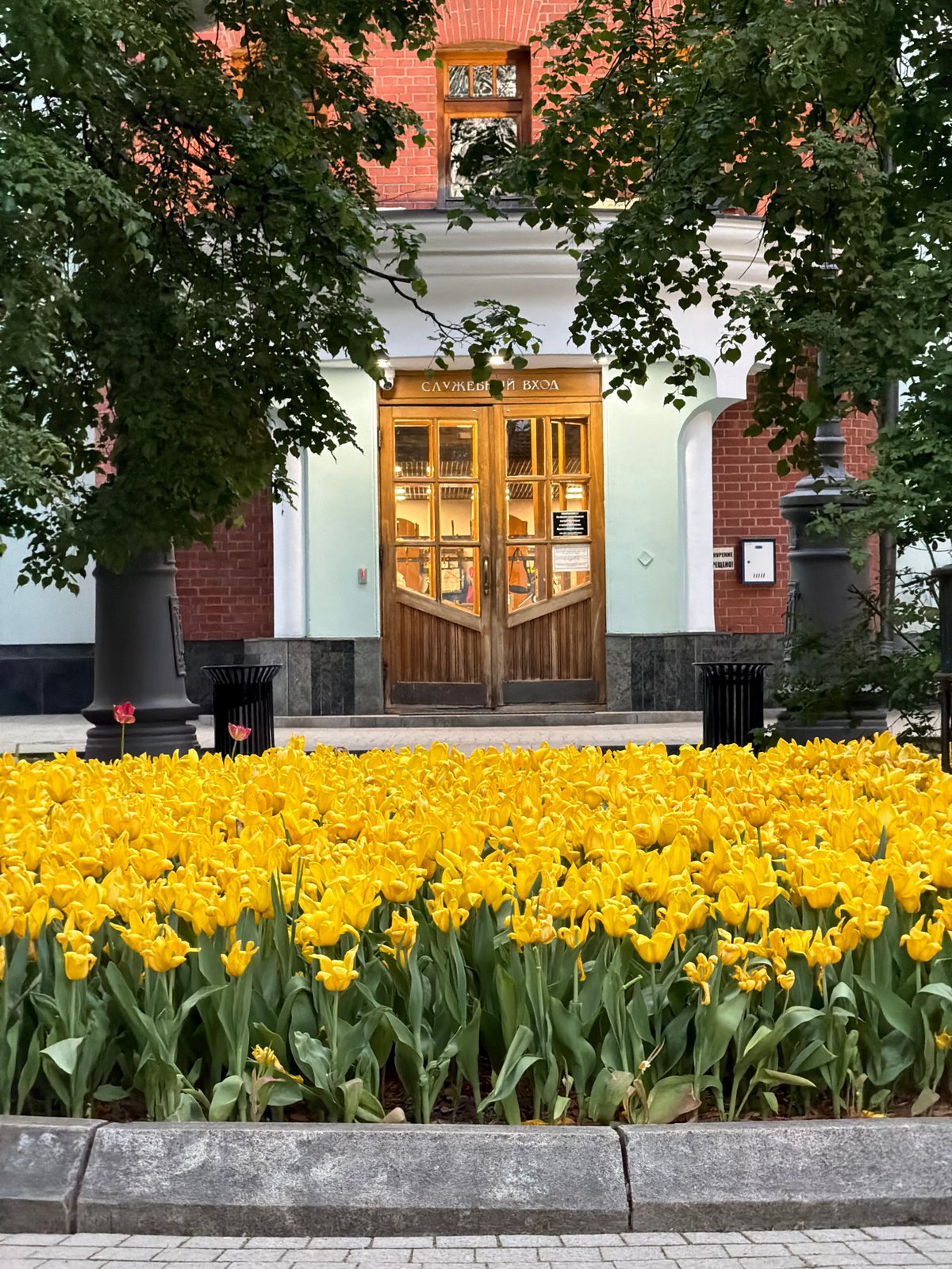 Spring tulips and distinctive architecture documented in central Moscow