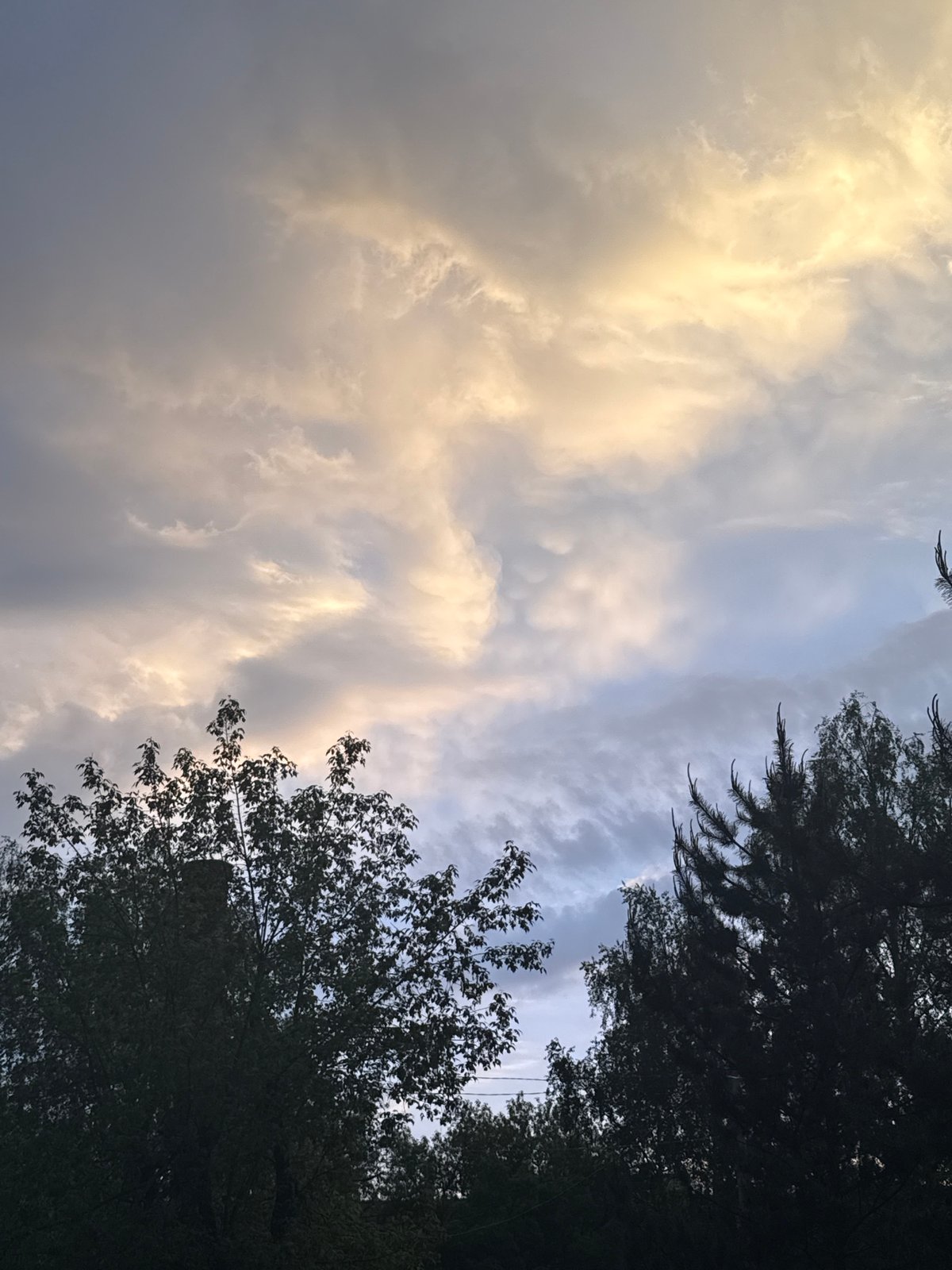 Everyday life moments captured during golden hour in Dmitrov