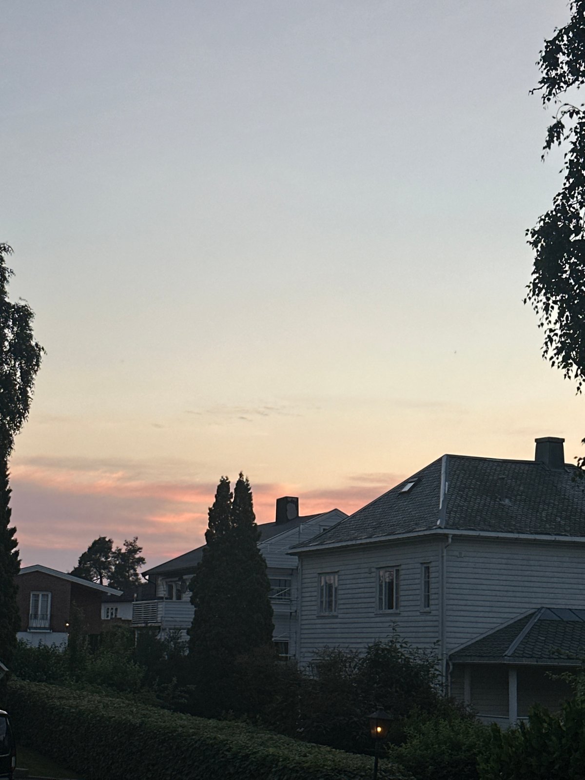 Dusk at home: dolls, toys, a cat, and suburban skies