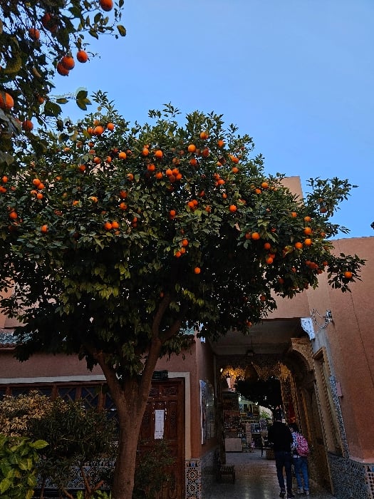Tourist documents three-hour journey through historic Marrakesh attractions