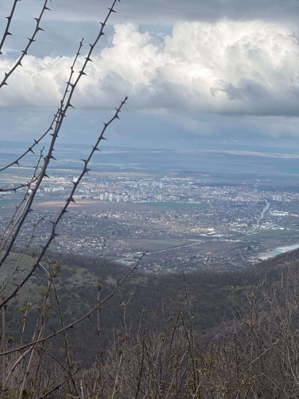 Urban landscape photographed through bare branches in Targovishte, Bulgaria