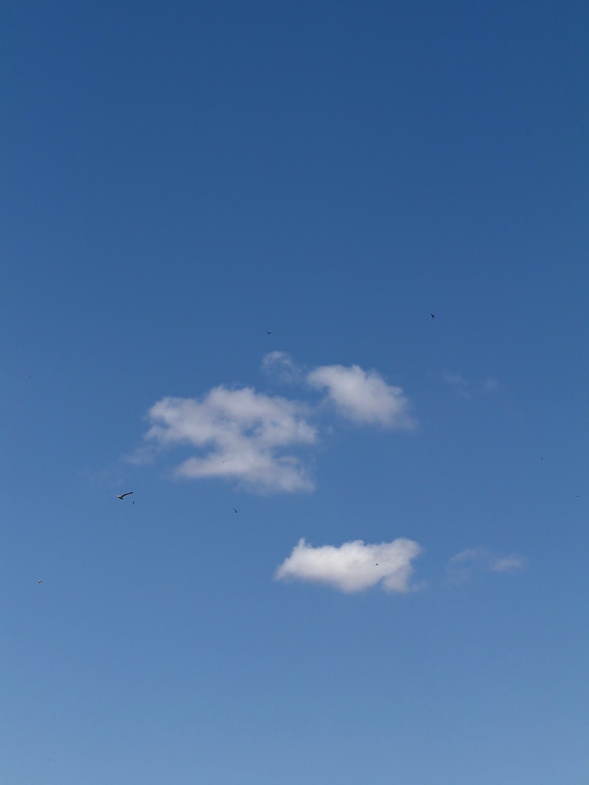 Parked Mercedes and open sky near Nesebar, Bulgaria