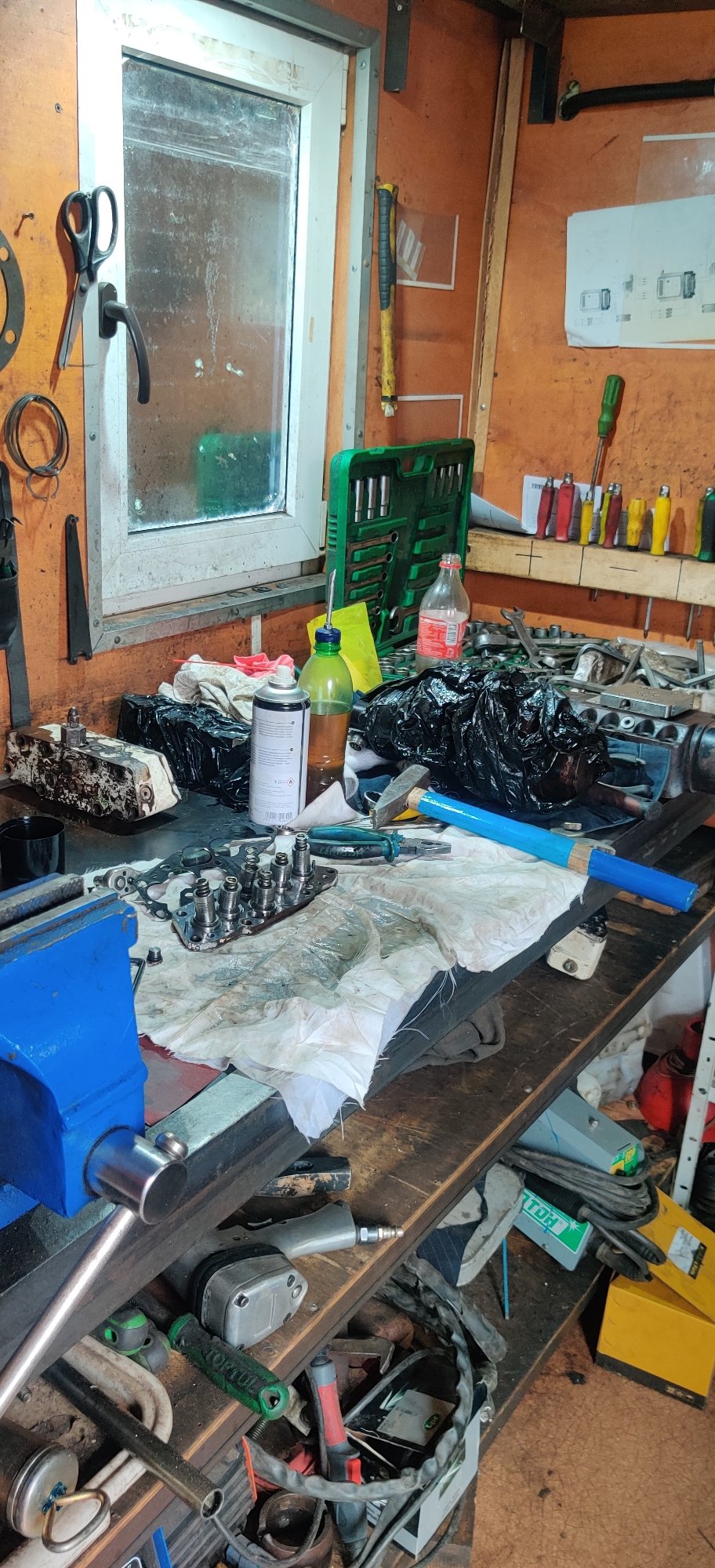 Hedgehog spotted in cluttered workshop near generator machinery