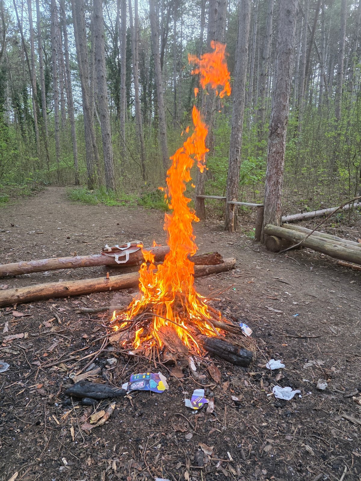 Campfire gathering with cooking documented by multiple witnesses