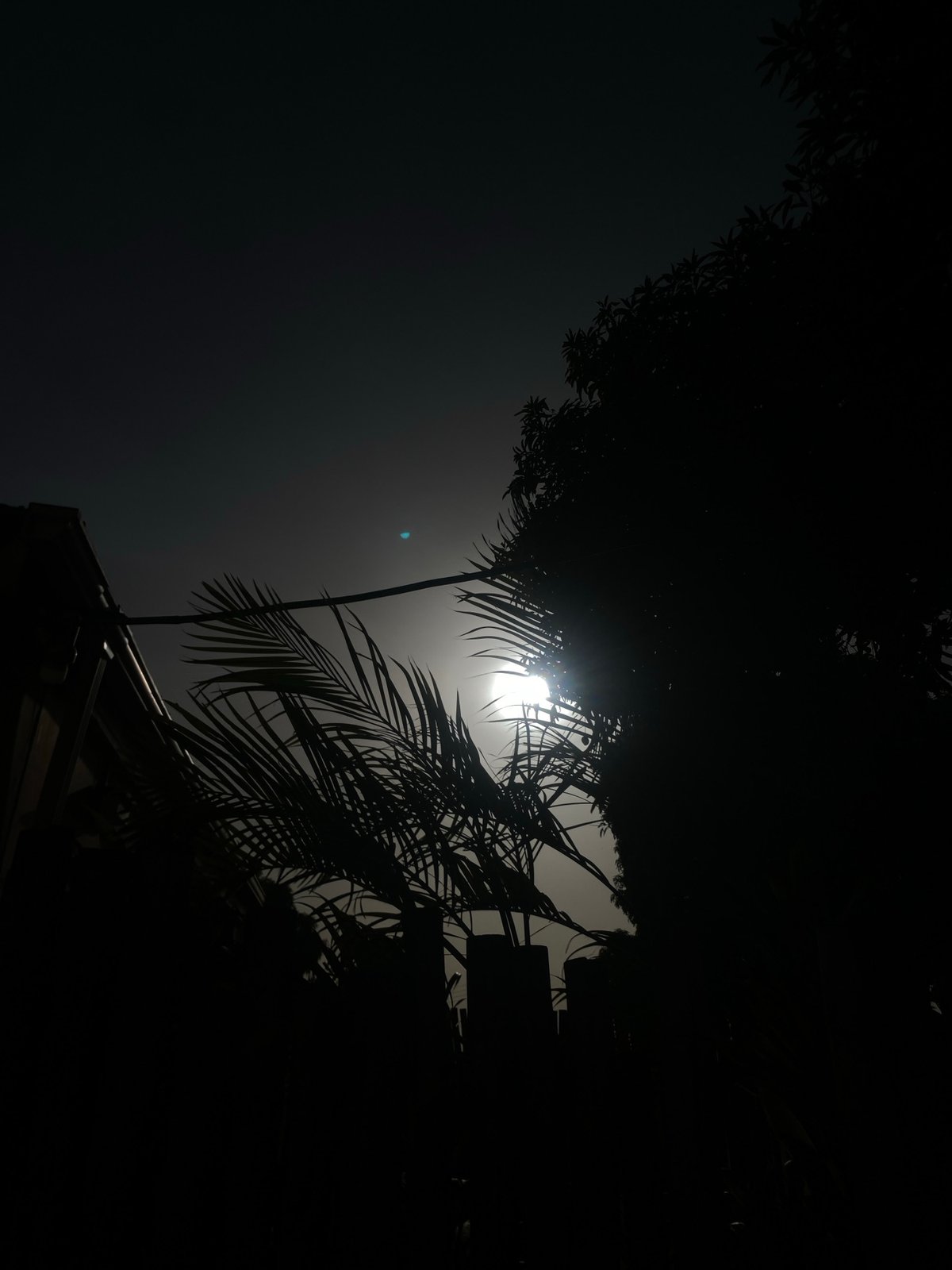 Dramatic backlighting documented in Barden Yana, Nigeria