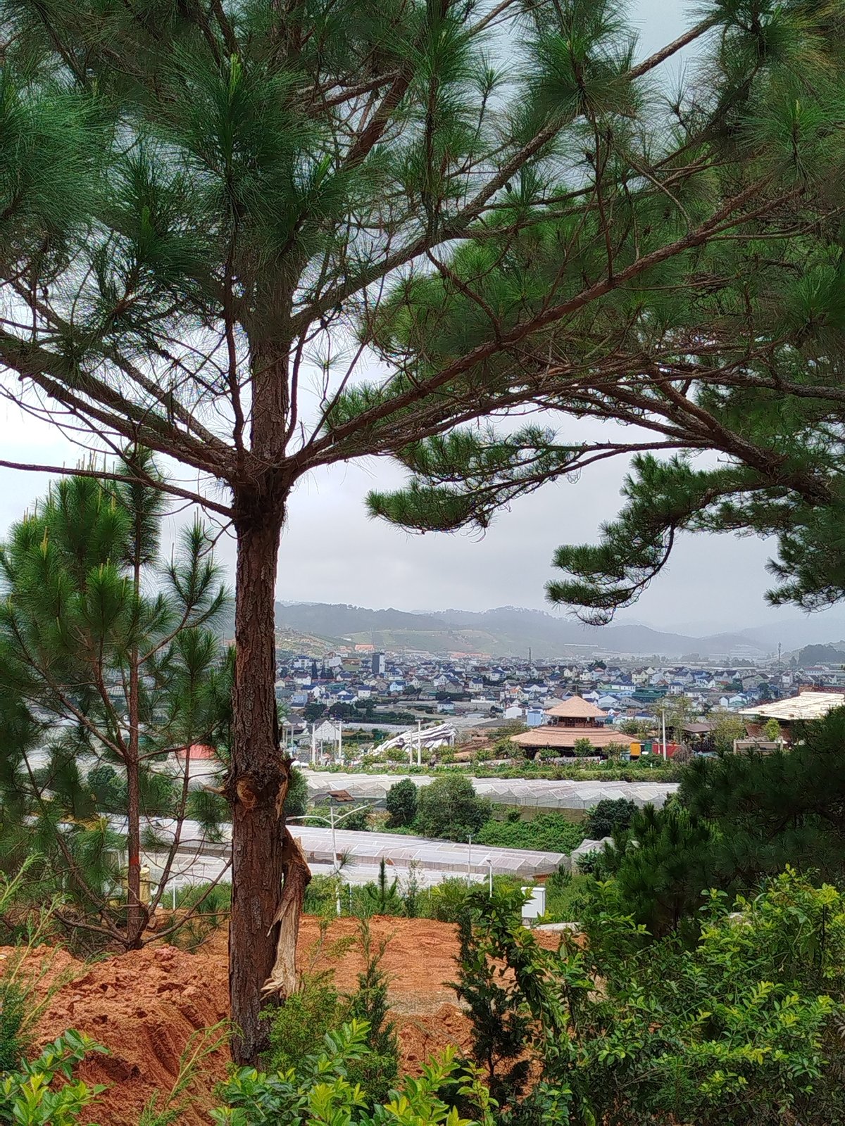 Scenes from the hills and roads around Lang Biang, Da Lat