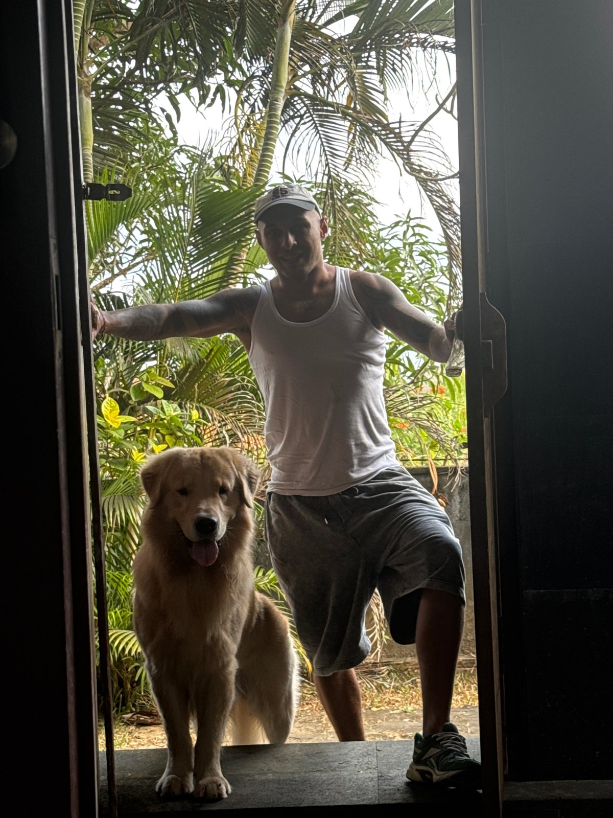 Golden retriever plays and relaxes on a Bali stone path