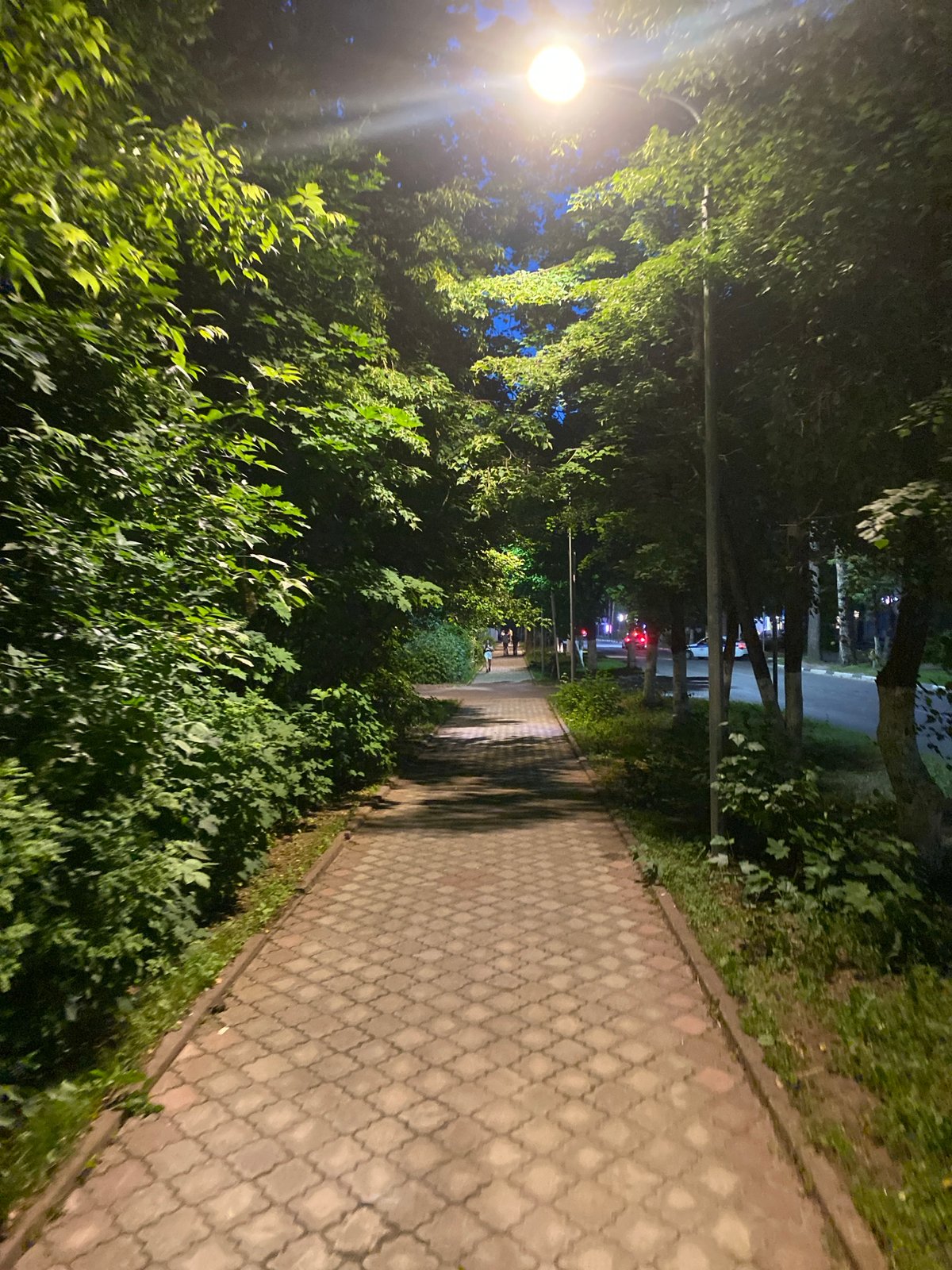Evening stroll through illuminated park pathways in Protvino, Russia