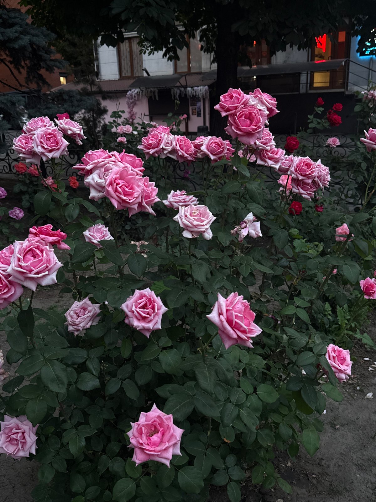 Urban photographer documents Dnipro street scenes during afternoon walk