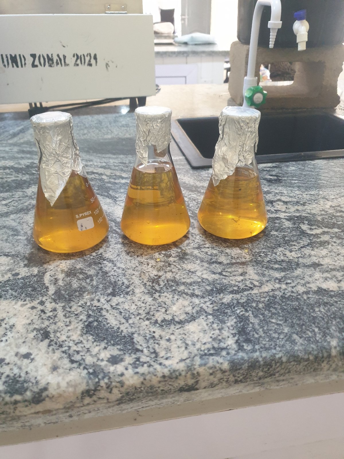 Laboratory work session documented with students conducting chemistry experiments