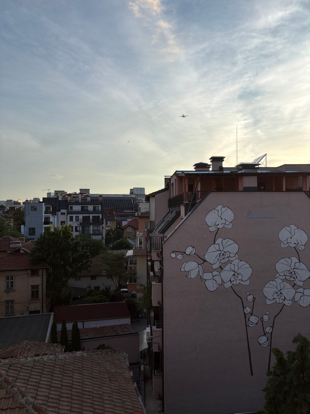 Vivid sunset illuminates Sofia skyline, orchid mural spotted