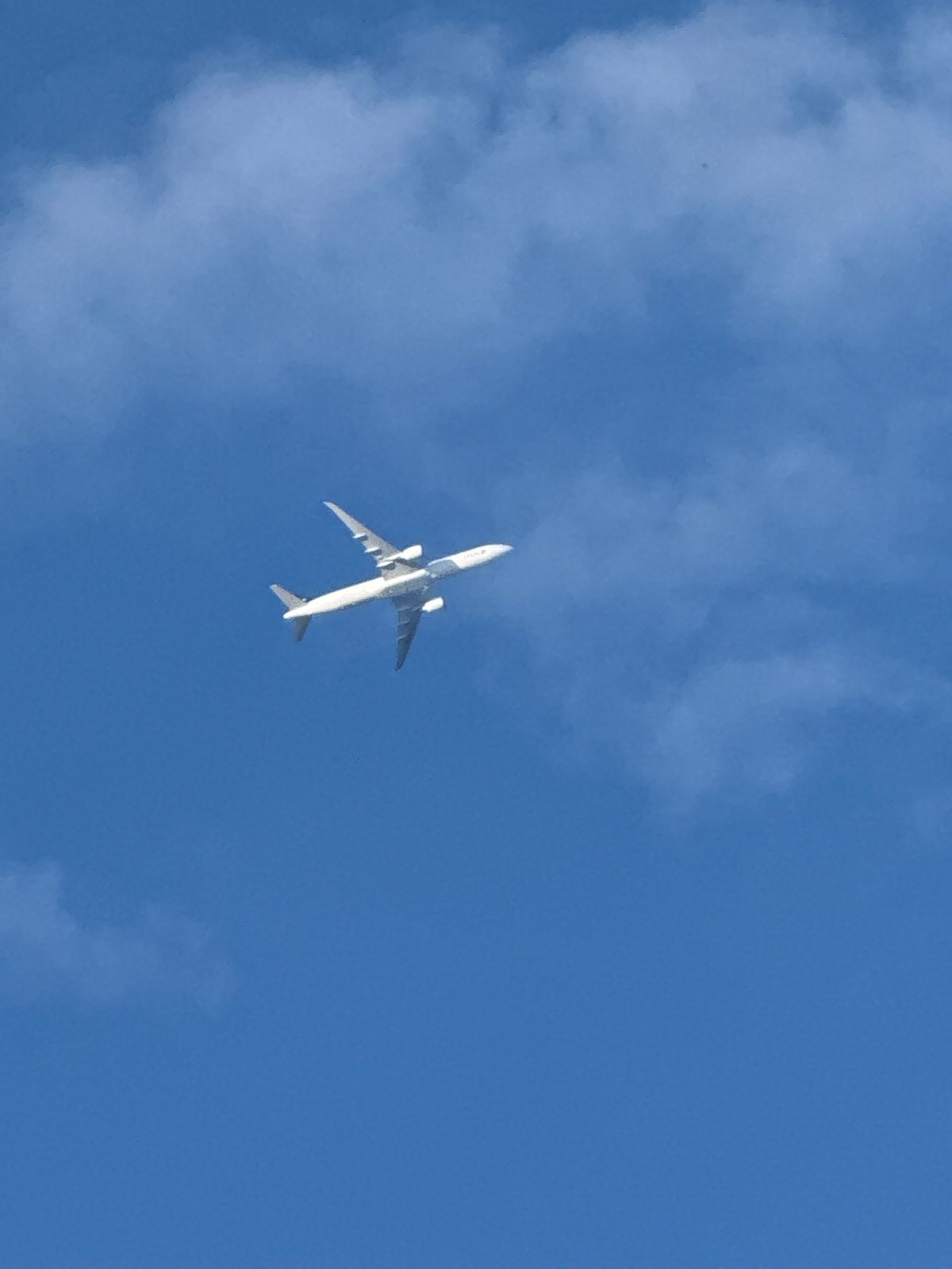 London resident documents neighborhood scenes and overhead aircraft