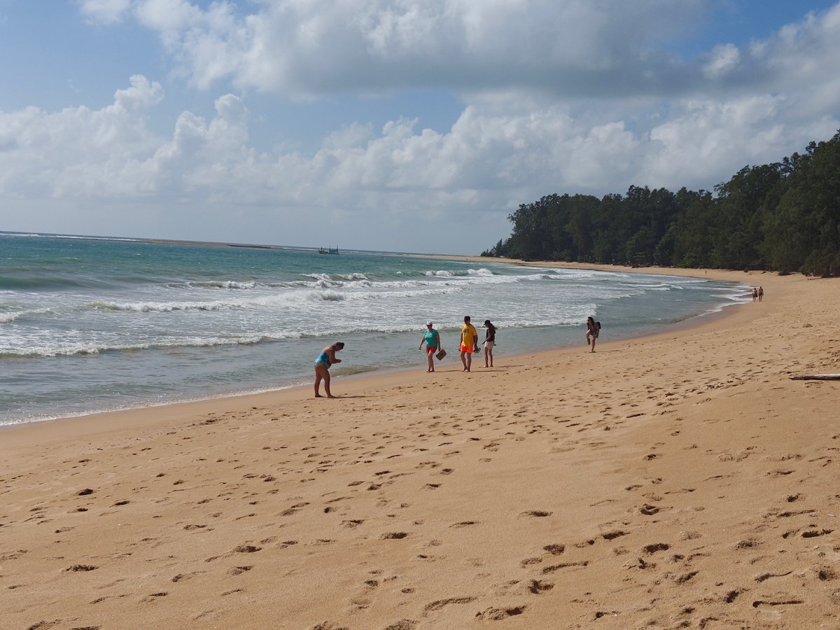 Quiet beach morning in Sakhu with volleyball and driftwood