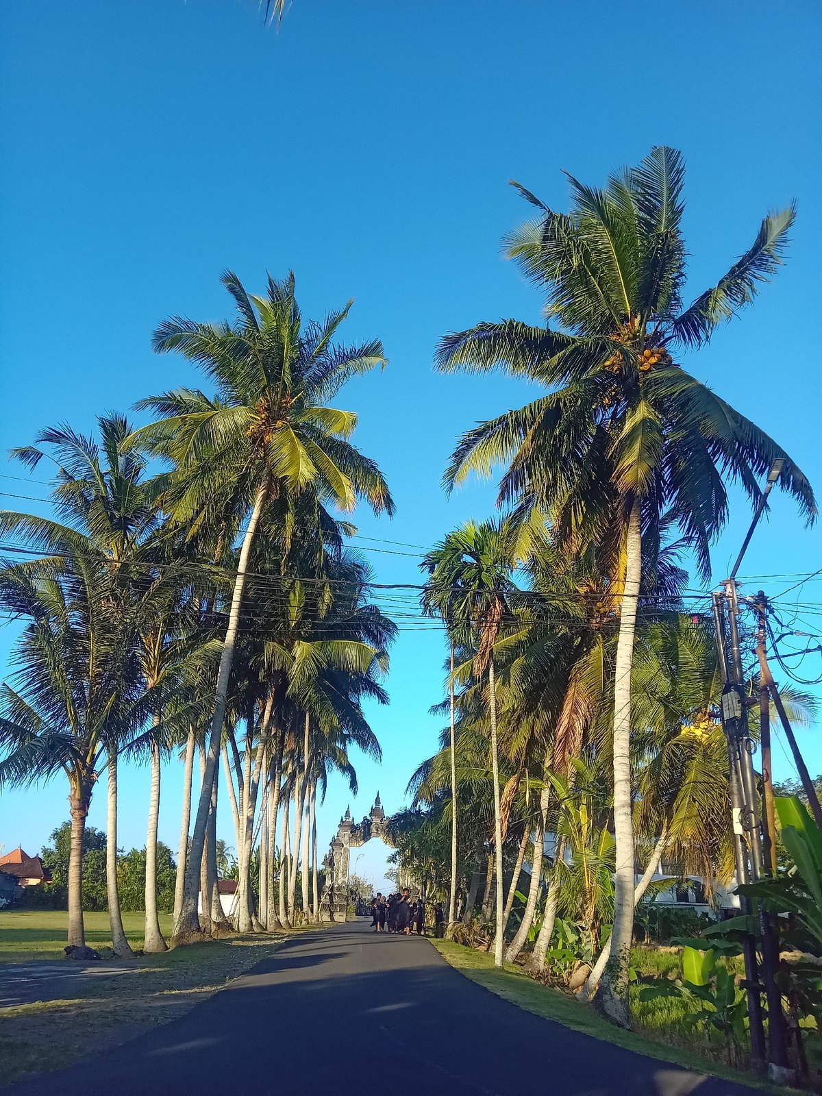 Palm-lined road leads to a Krishna temple in Blahbatuh, Bali