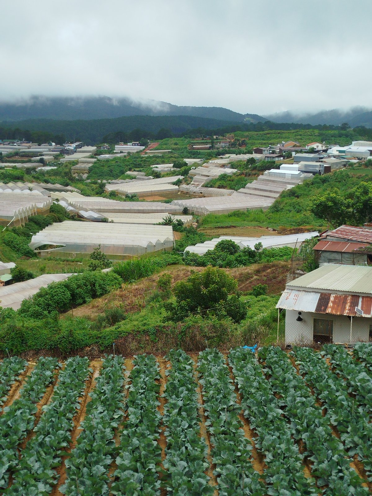 Everyday life and landscapes around Da Lat, Vietnam