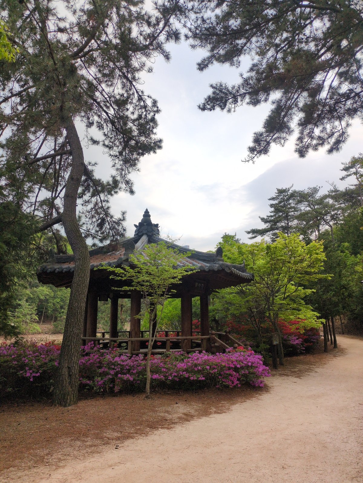 Morning visit to Taehwagang National Garden in Ulsan documented