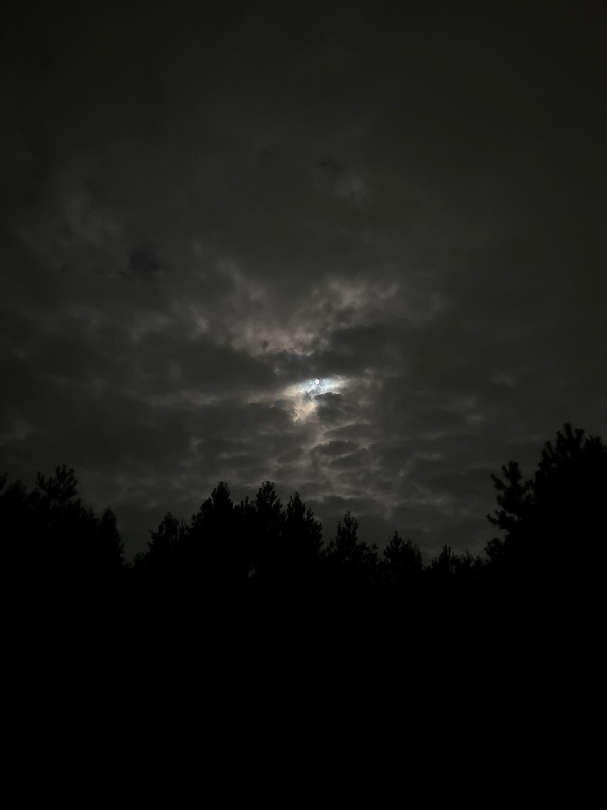 Nighttime forest walk documented in Chaikovsky, Russia