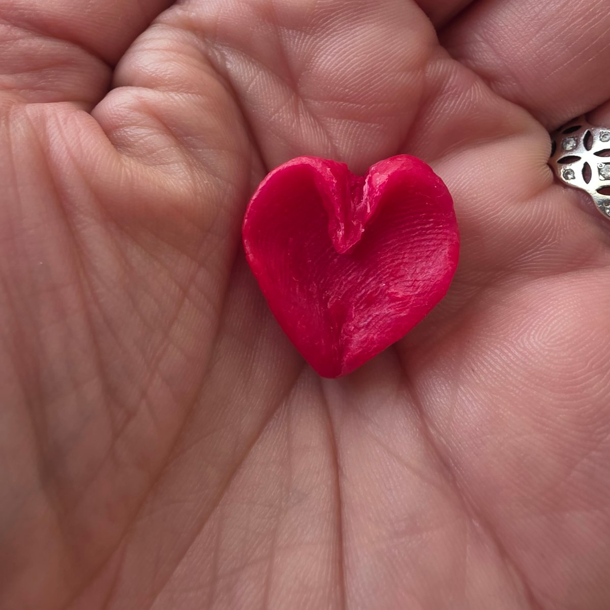 Person holds red heart-shaped object in Zheleznitsa, Bulgaria