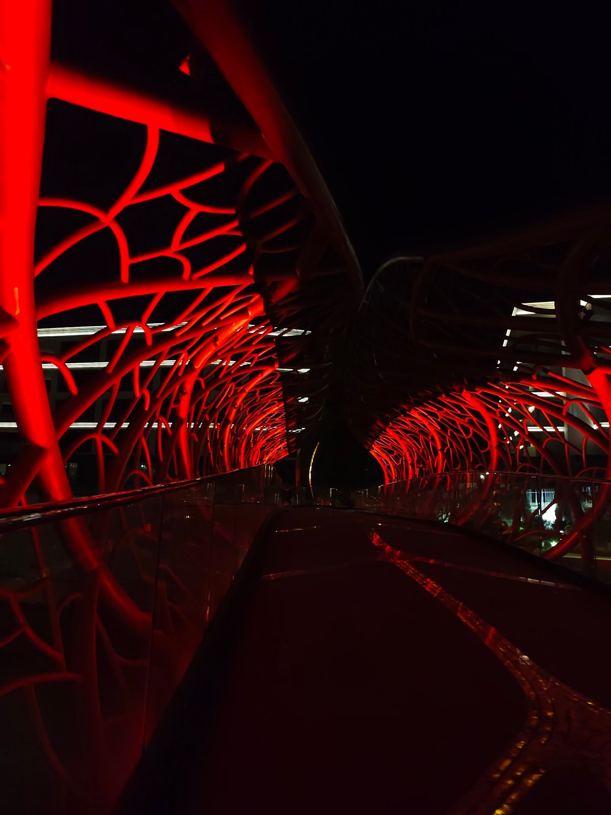 Sochi beach club glows with neon lights and cactus sculptures at night