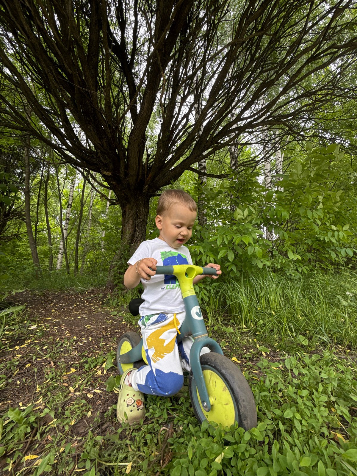 Mother and toddler photographed on woodland path