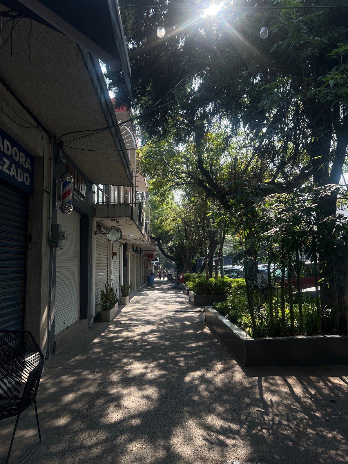 Quiet afternoon on shuttered commercial street in Mexico City