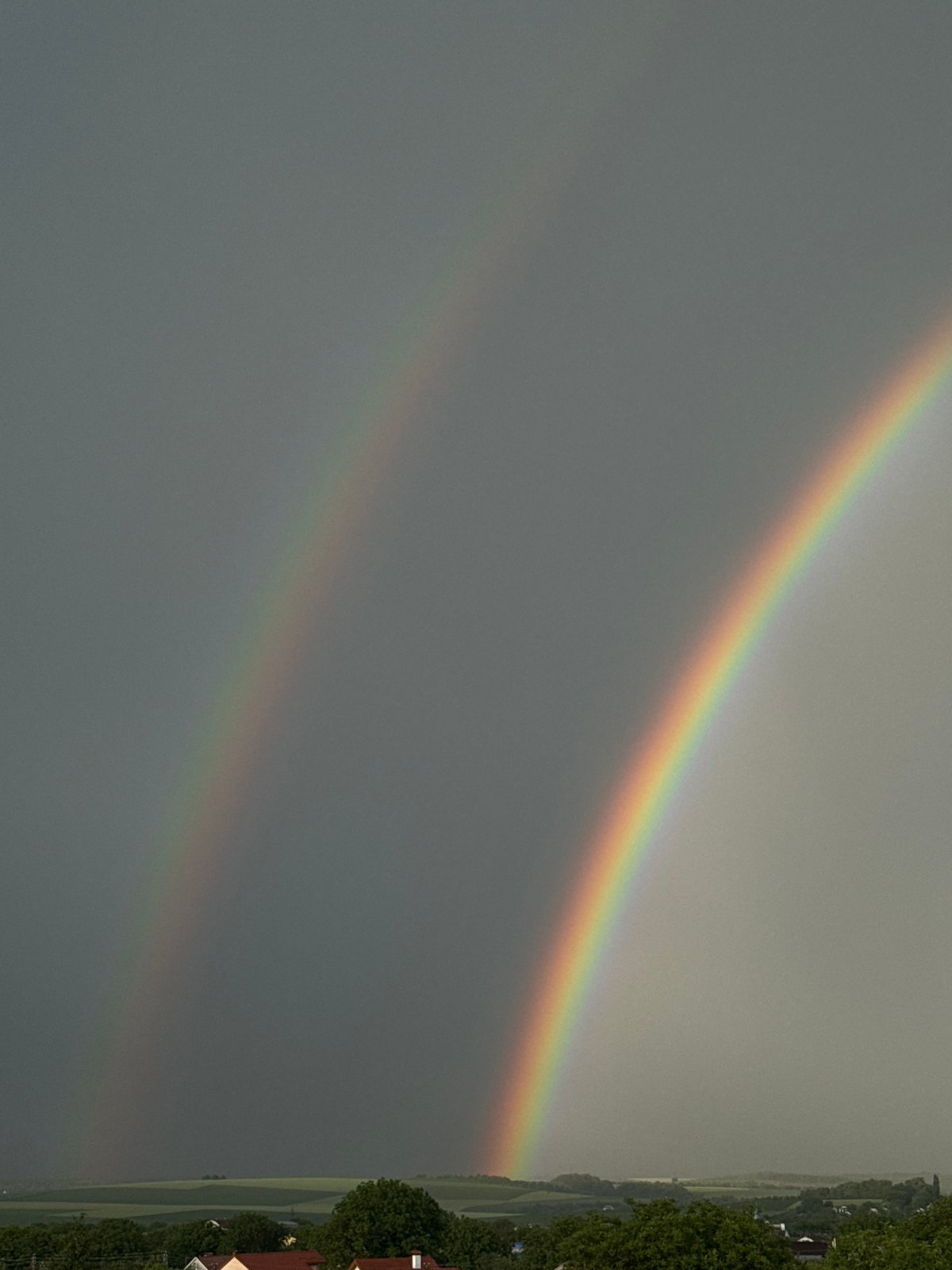 Double rainbow stretches over a tree-lined suburban skyline