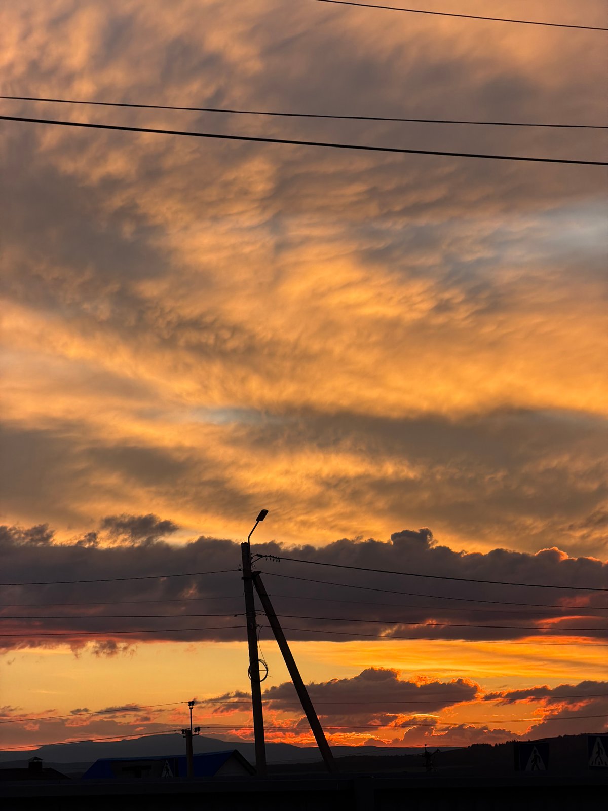 Dramatic sunset sky, power lines, and birds at dusk