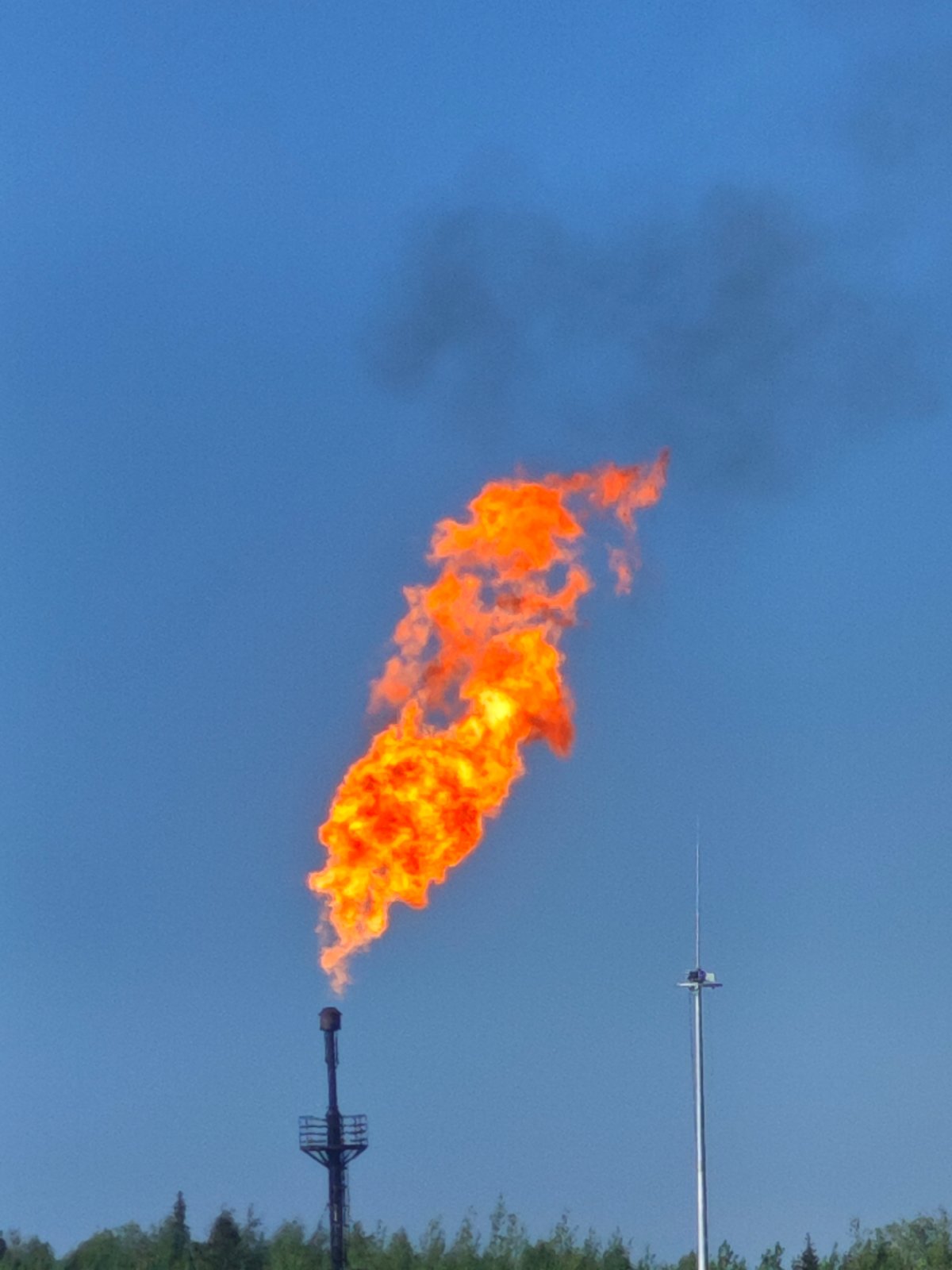 Industrial flare and crane fly macro photography session