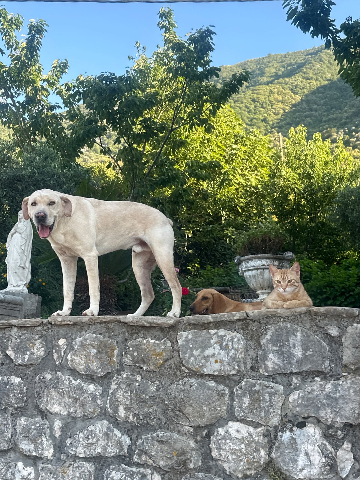 Coastal scenes documented in Prčanj, Montenegro during sunny afternoon