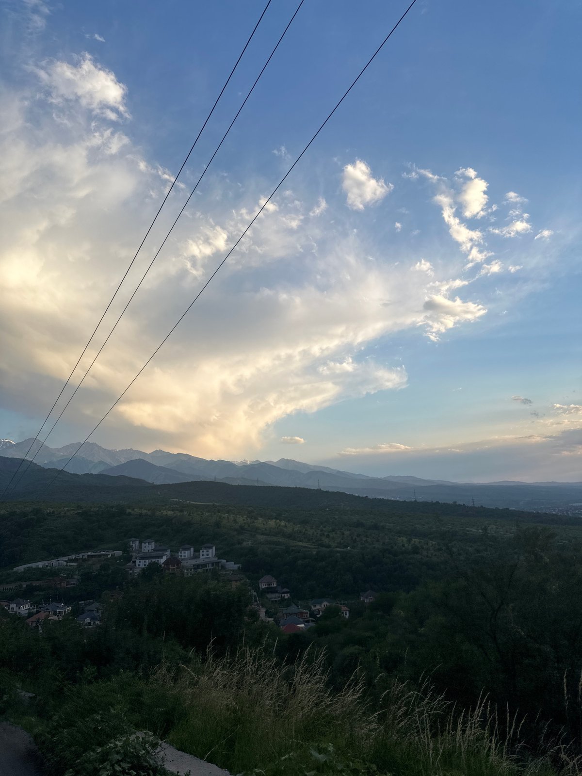 Mountains, overgrown forest, and a cloudy sunset sky