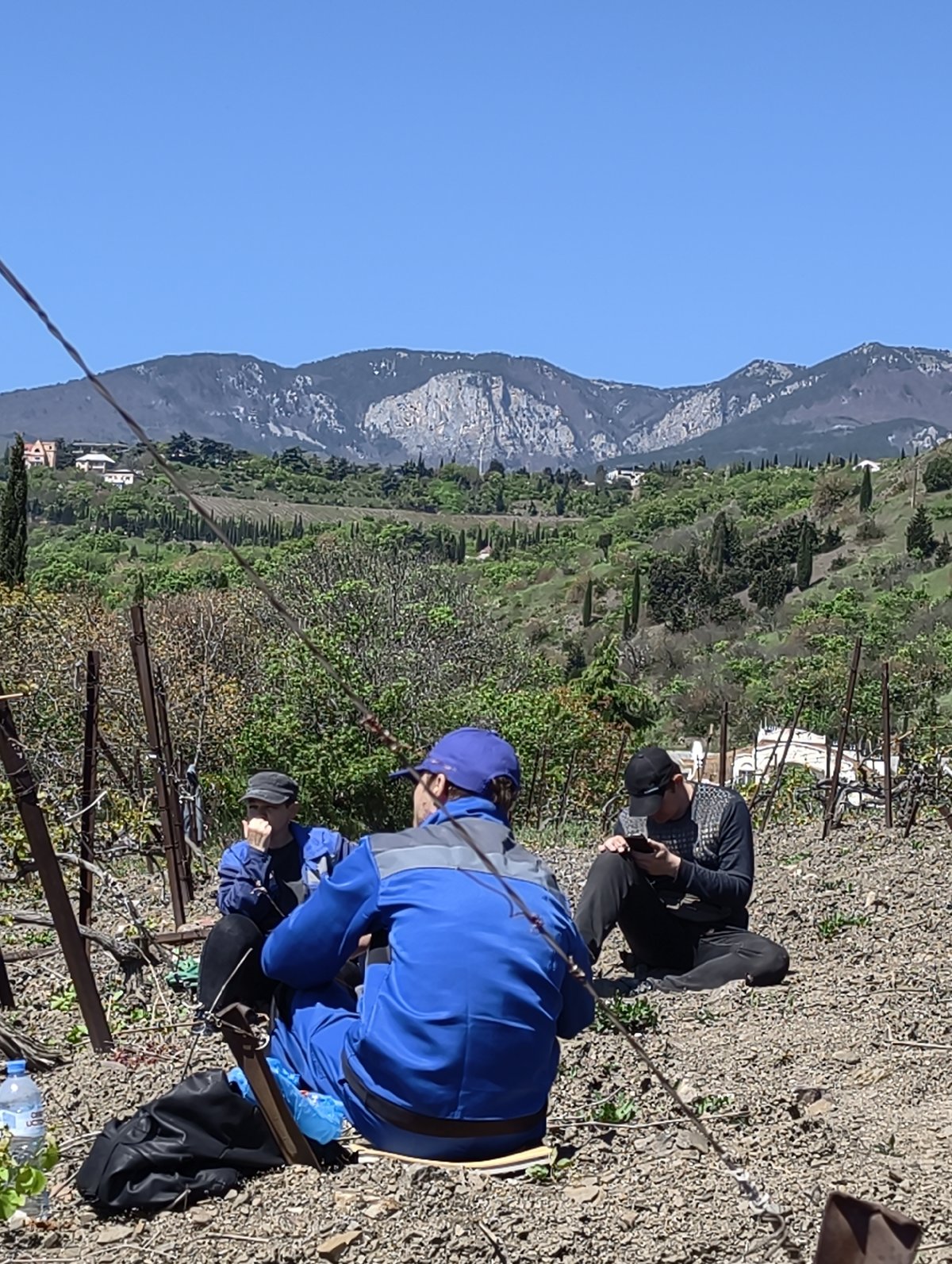 Vineyard workers take morning break in Utios, Ukraine