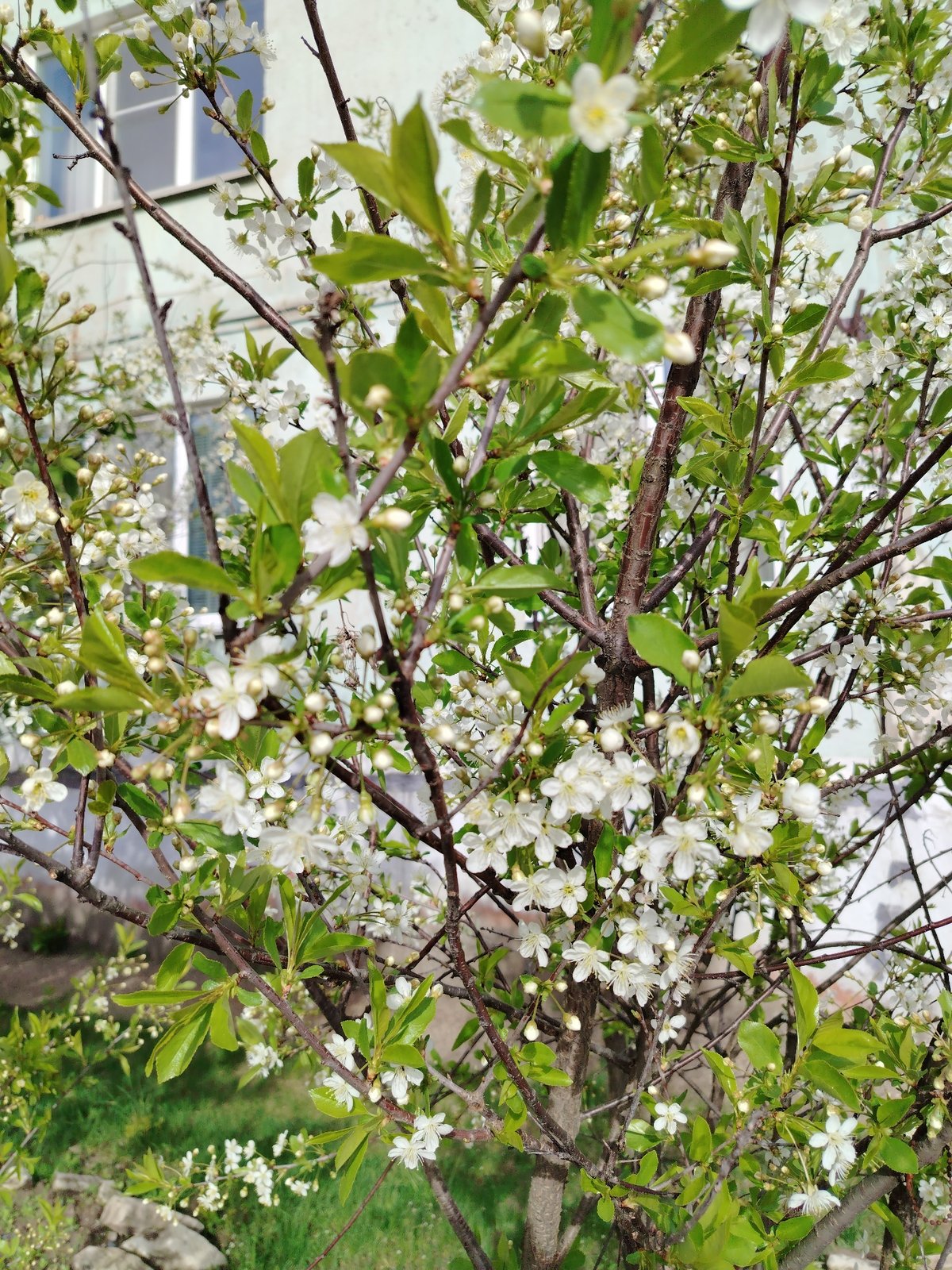 Spring day scenes captured across Noviy, Russia