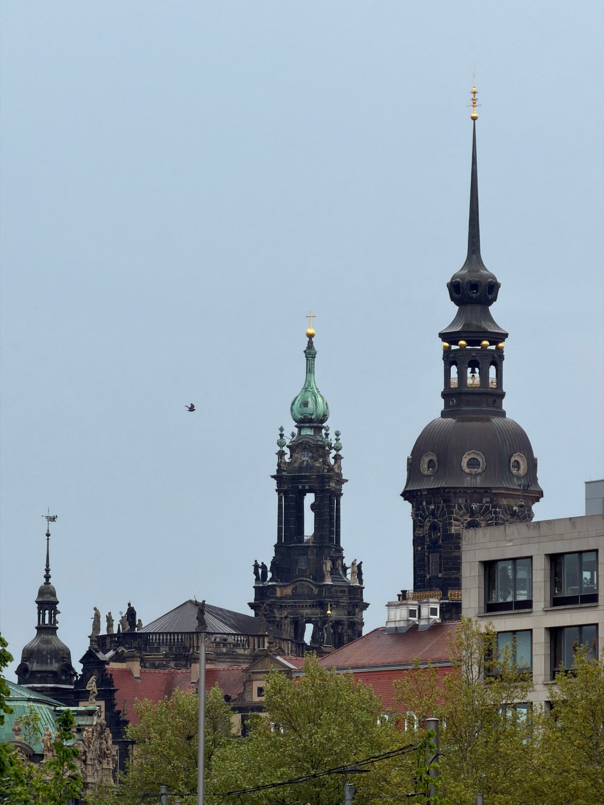 Morning views of Dresden architecture and street life documented