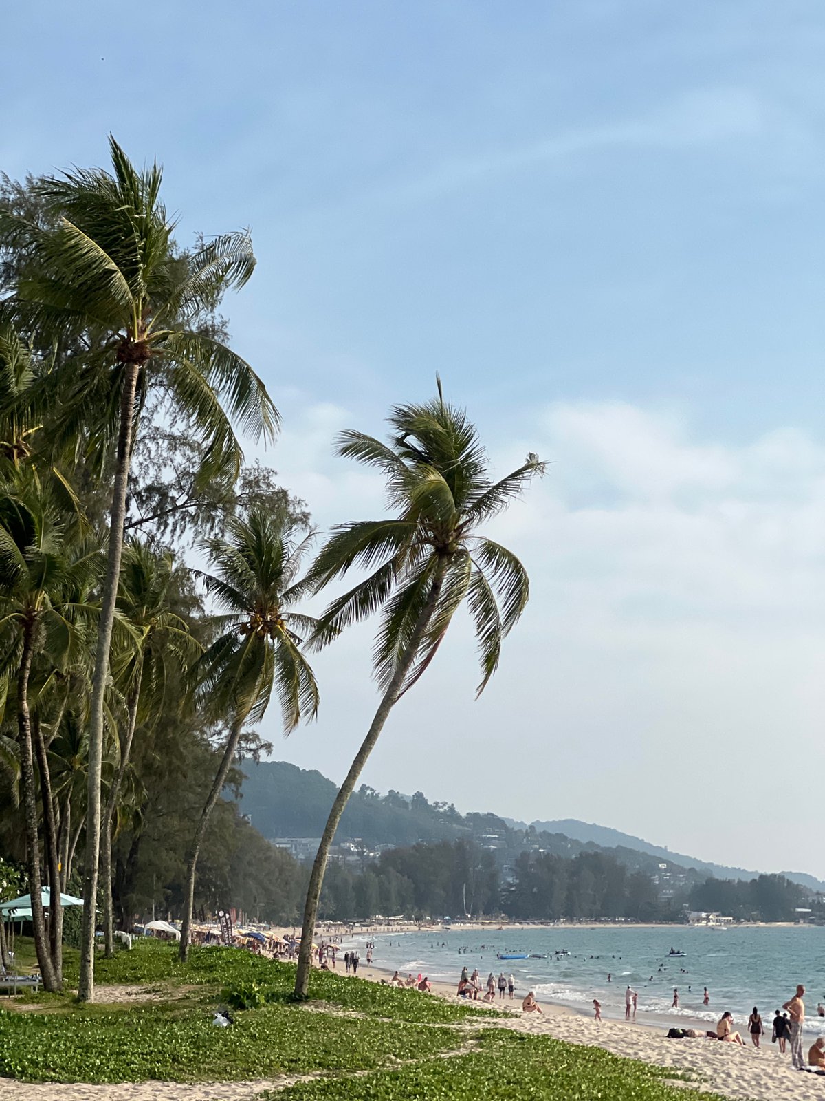Coastal palm trees observed under cloudy skies in Thailand