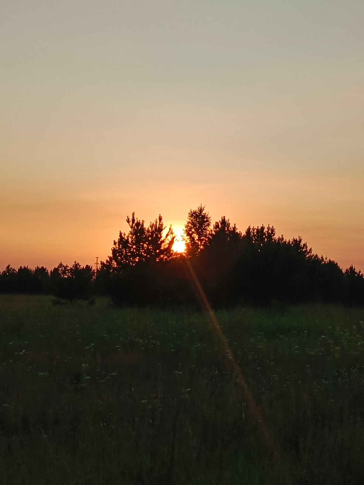 Sunset stroll through a rural Russian landscape at golden hour