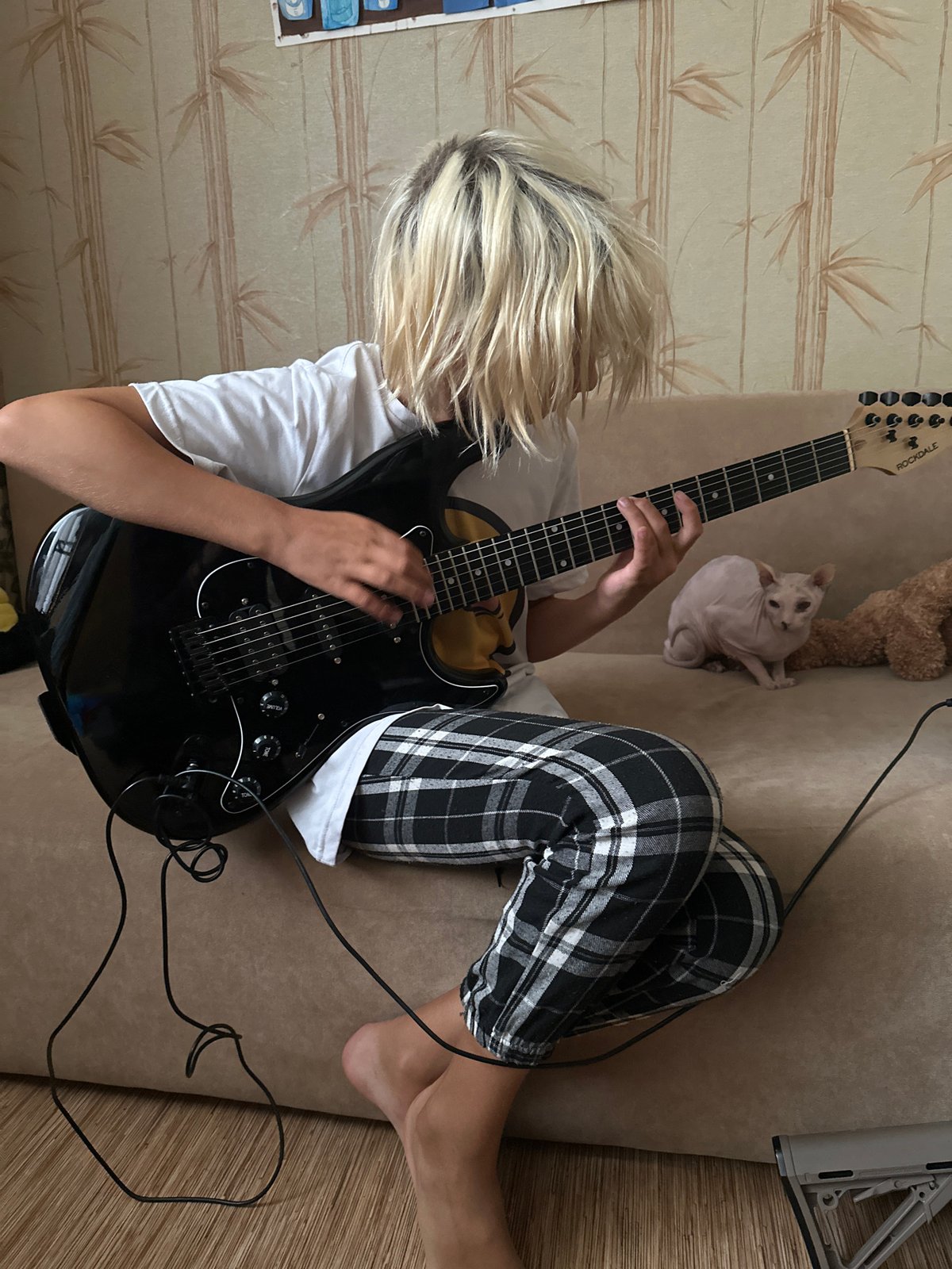 Sphynx cat spa day and guitar practice, Togliatti morning