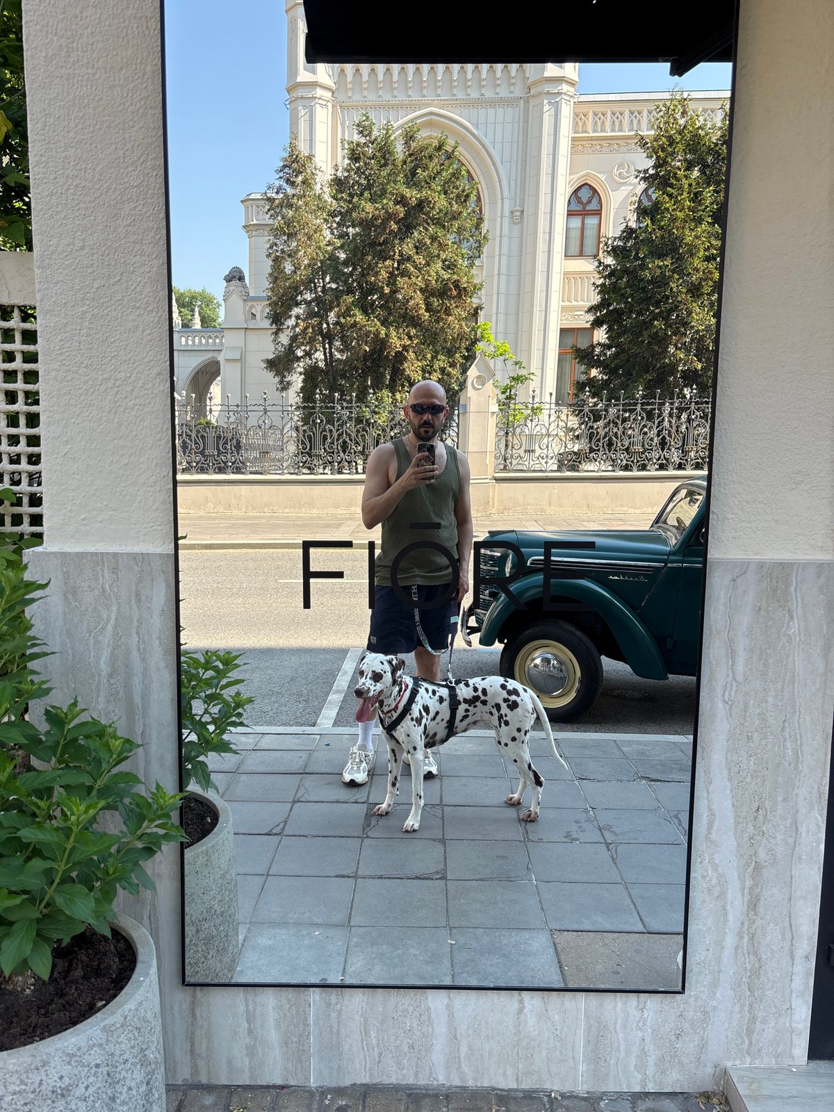 Morning snapshots of daily life across Moscow neighborhoods
