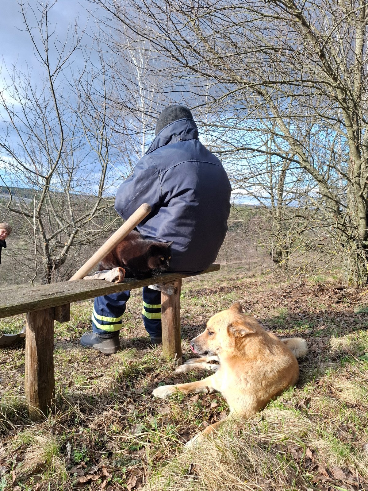 Man sits on fence with cat, dog nearby