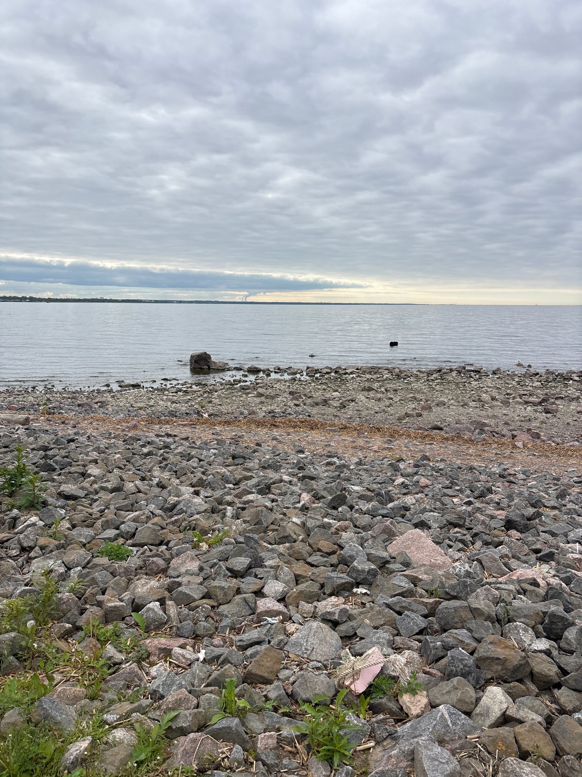 Quiet afternoon documented along Saint Petersburg's Gulf of Finland waterfront