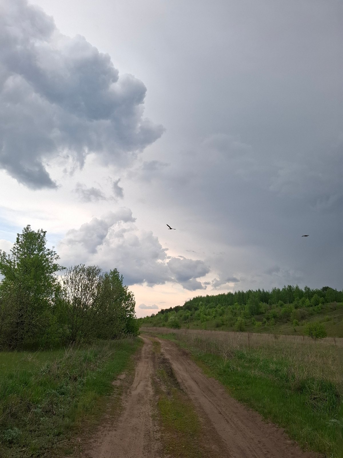 Spring blooms and rural roads observed in Khlevnoye, Russia