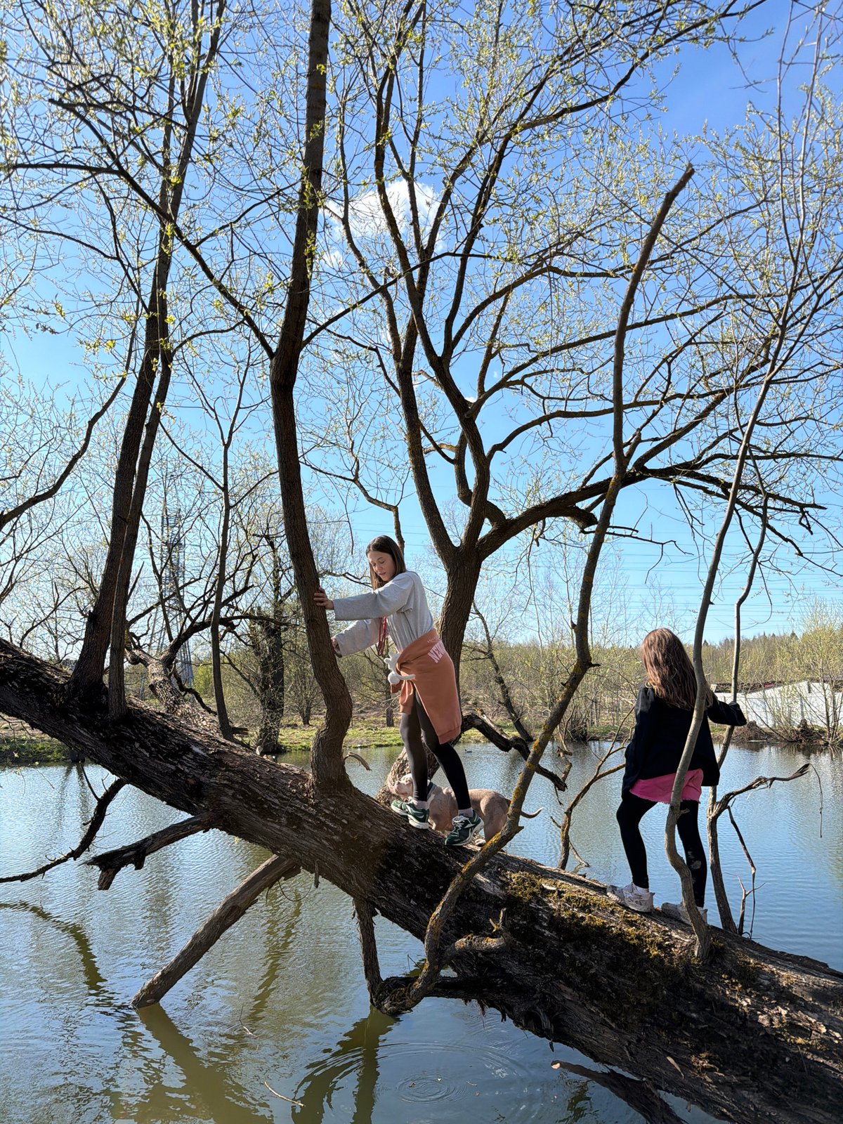 Families enjoy spring afternoon at flooded Khimki recreation area