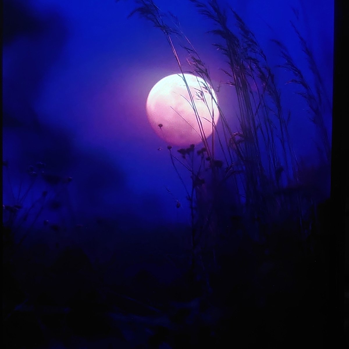 Full moon, two angles — grass and mountains at night