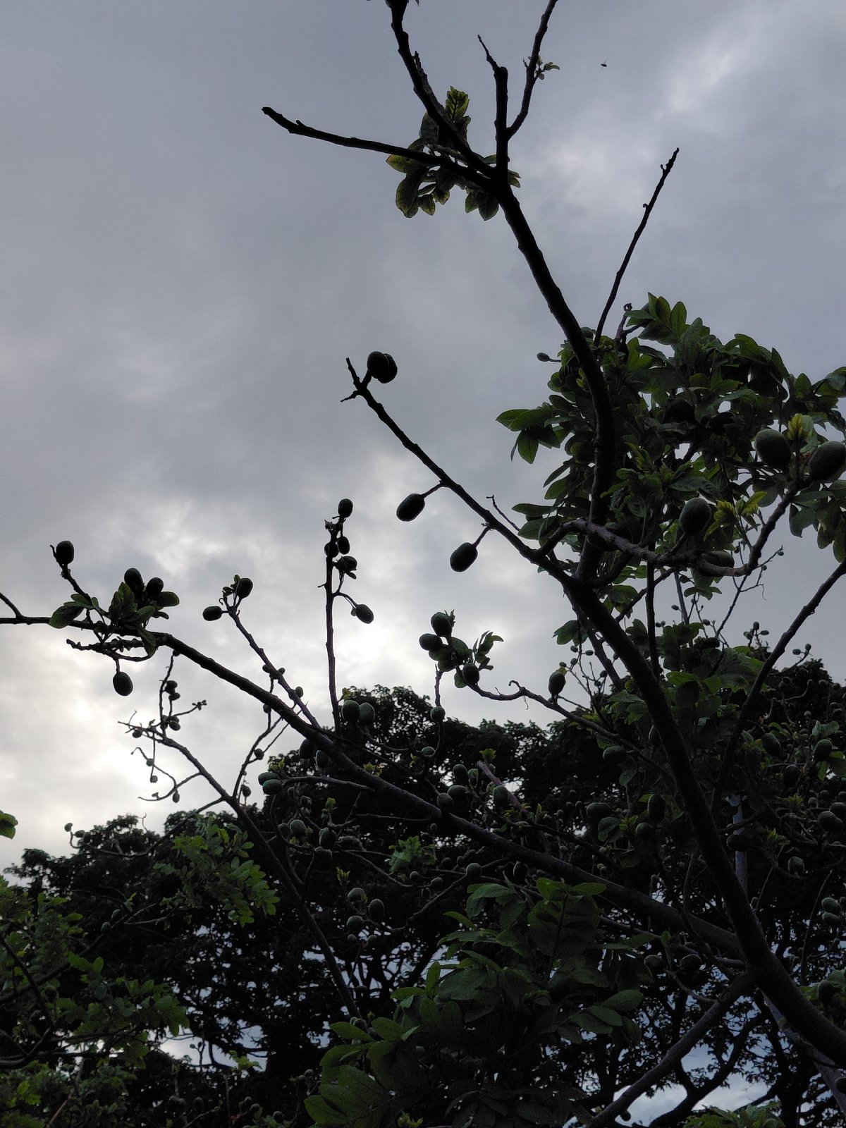 Evening Documentation of Daily Life in Santa Ana, Venezuela