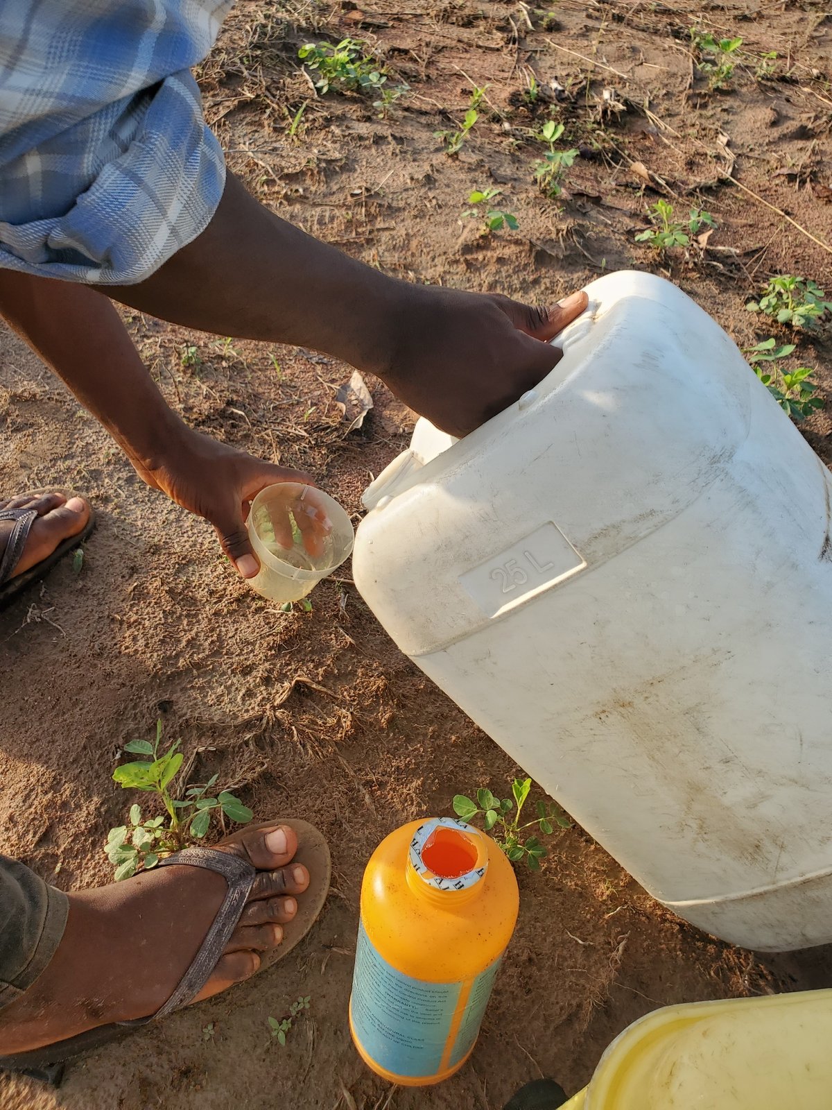 Early morning agricultural work documented in Mararaba, Nigeria