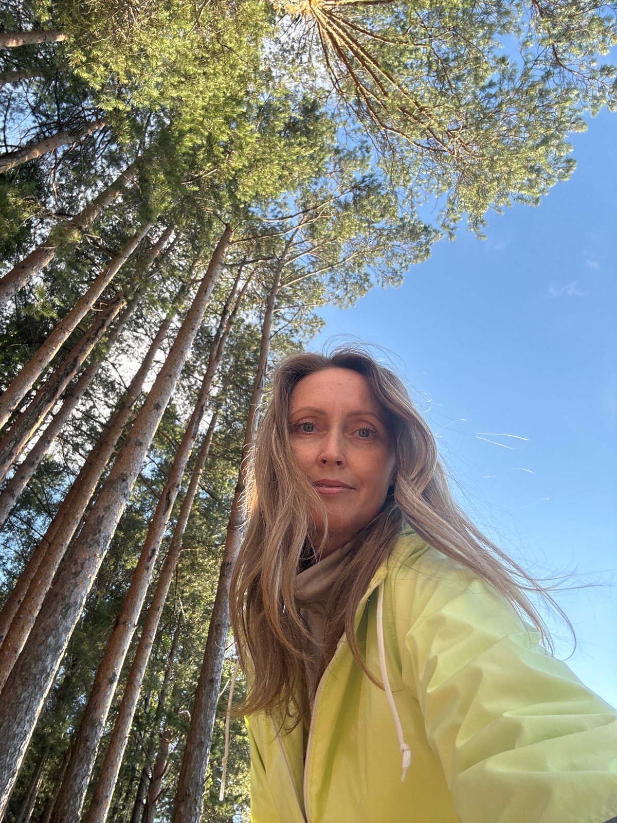 Sunny afternoon by the lake in Chaikovsky's pine forest