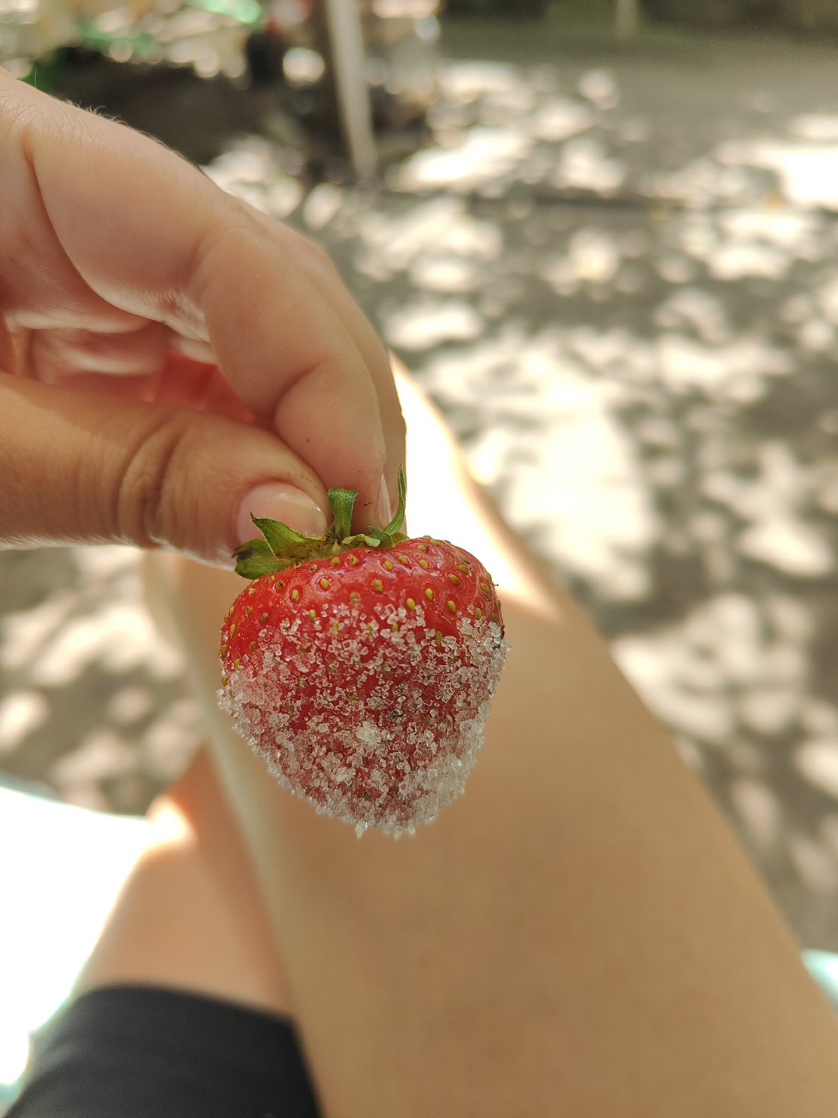 Backyard afternoon in Kryvyi Rih: tea, strawberries, and animals